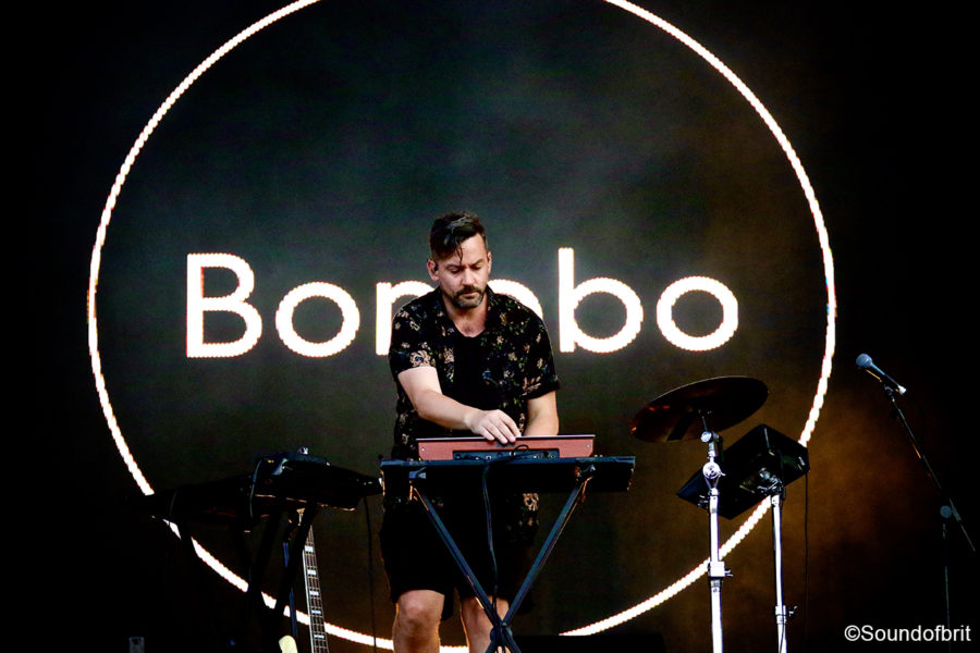 Bonobo